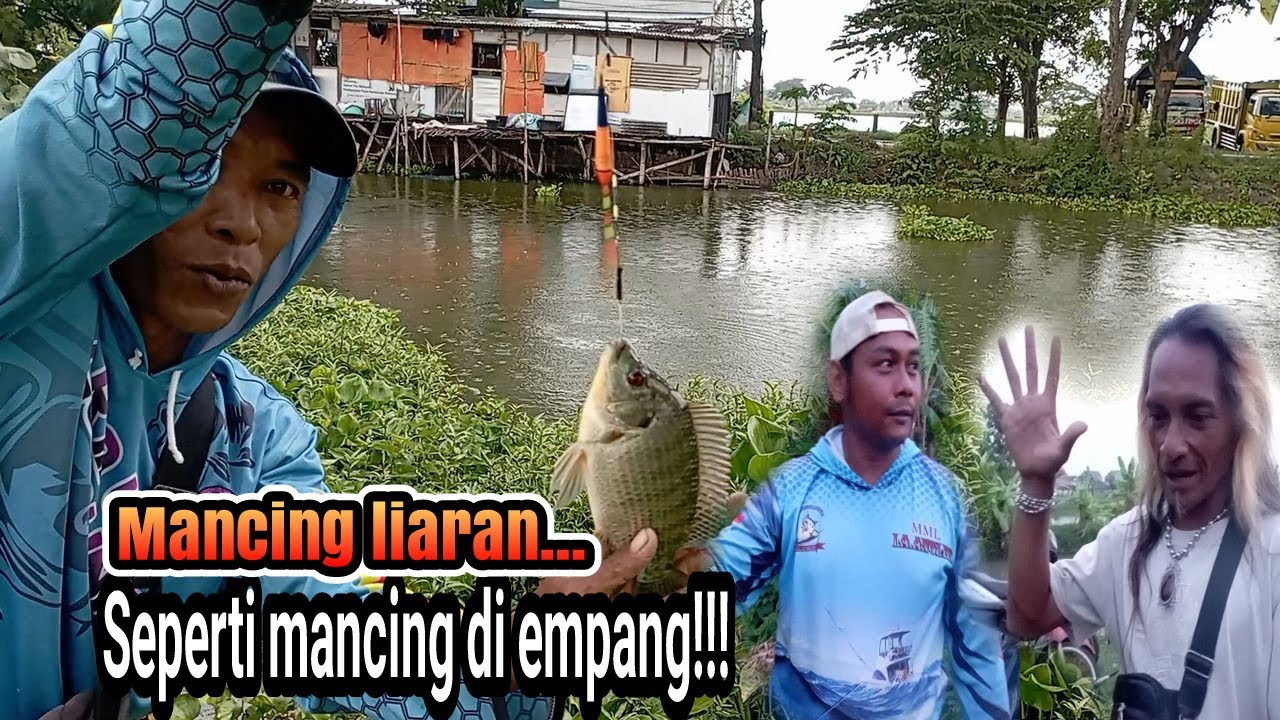 Tampar pipiku ini nyata!!! Seperti mancing di empang