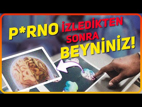 P*rno İzledikten Sonra Beyniniz Buna Dönüşüyor! - Sözler Köşkü