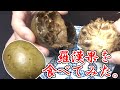 【衝撃】羅漢果(ラカンカ)を食べてみた結果・・・【ダイエット】