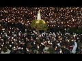Fatima-Heiligtum in Portugal: Viertelmillion Pilger bei Lichtermesse