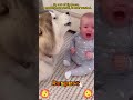 dog and baby great friends❤️🥰#dog #baby #bestfriend #love #foryou #usa🇺🇸1