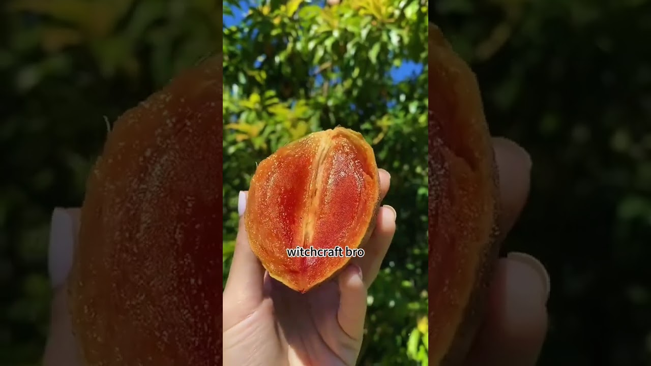 ⁣what kind of fruit is this? #californiaraisins #fruitbar #nationalraisinday #fruit #funny #shorts