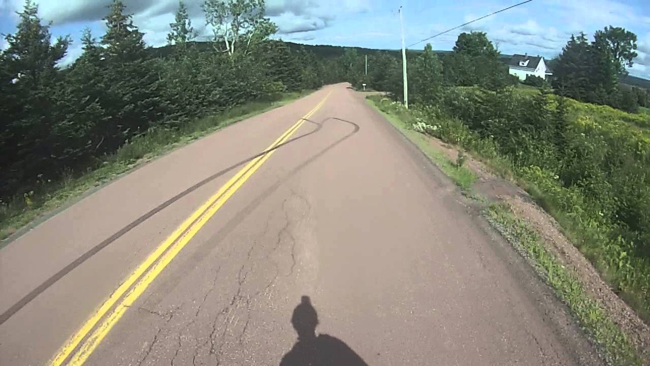 The red path through the trees