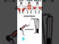 How To Lats,Traps And Middle back workout #gymworkout #homeworkout #fitnesspkbundelkhand#backworkout