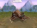Spore Spider Creature