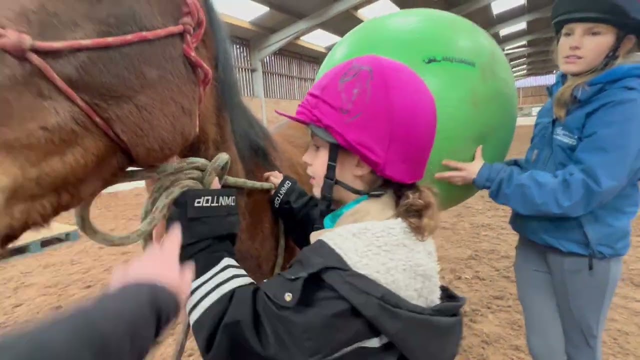 How to introduce a giant ball to a horse