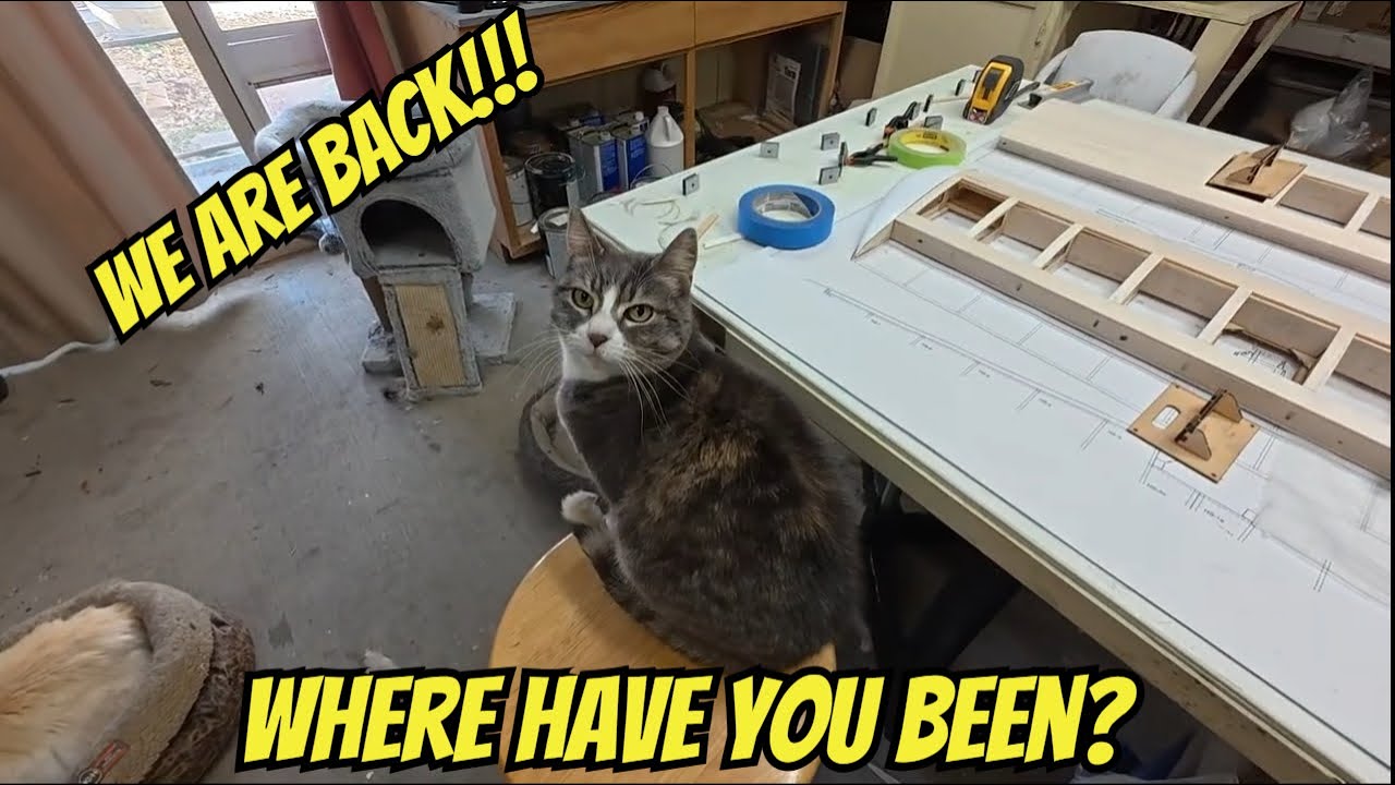 Где вы все были? Снова в седле.