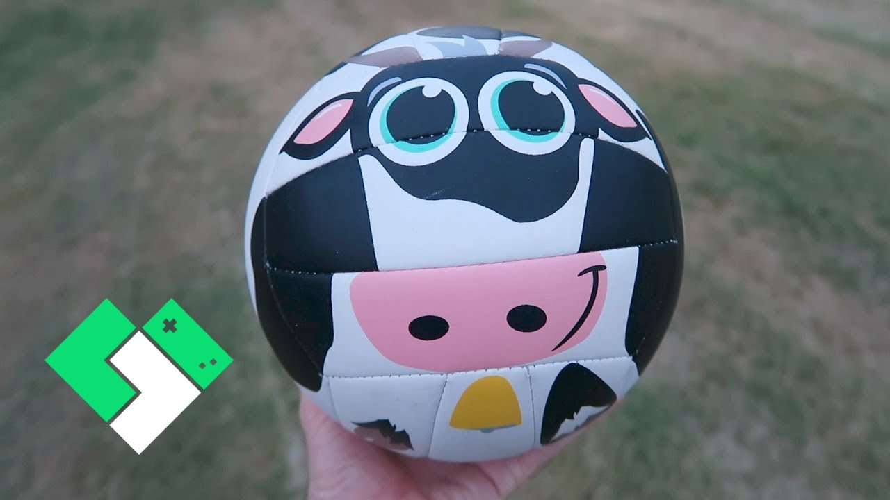 🏐 Playing Volleyball With a Cow 🐮 (Day 1987) Clintus.tv YouTube