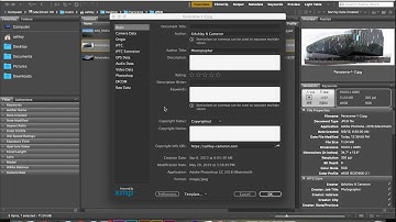 Add Copyright Metadata to Multiple Images in Adobe Bridge