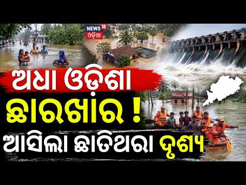 ଅଧା ଓଡ଼ିଶା ଛାରଖାର ! Flood Breaking News Live | Odisha Flood | Odisha Rain News | Flood Alert Odisha
