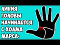 ЛИНИЯ ГОЛОВЫ НАЧИНАЕТСЯ С ХОЛМА МАРСА ОТРИЦАТЕЛЬНОГО / хиромантия / Кладезь Хиромантии