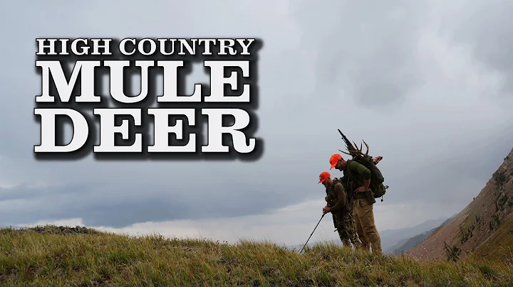 I Hunted High Country Mule Deer | 2 Bucks Down