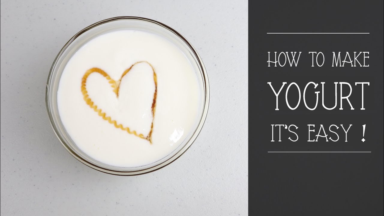 Penjelasan Lengkap Cara Membuat Yoghurt - How to Make Yogurt Easily