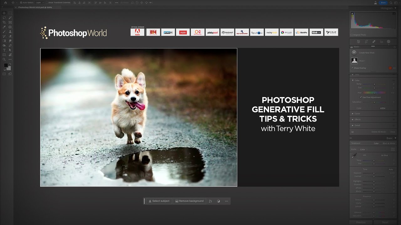 Fill Tips Generative Fill Tips & Tricks with Terry White - YouTube