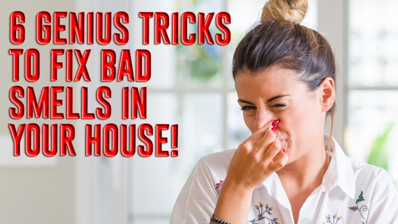 LIFE HACKS 6 Genius Tricks to Fix Bad Smells in Your House! YouTube