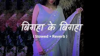 Bigha Ke Bigha | Slowed And Reverb | बिगहा के बिगहा तहरा नामे क देहब | Bhojpuri Lofi Song