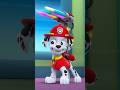 PAW Patrol La Pat Patrouille La Pat Patrouille Chante La Chanson De L Amitié Shorts 