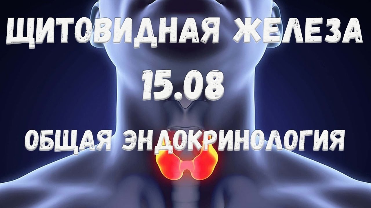 Общая эндокринология. Щитовидная железа.