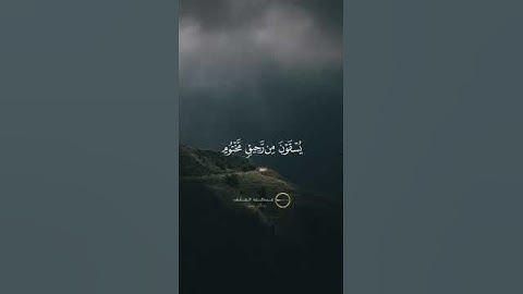 إن الأبرار لفي نعيم تلاوة عَطِرَة