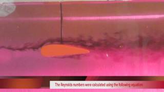 Flow Around an Airfoil