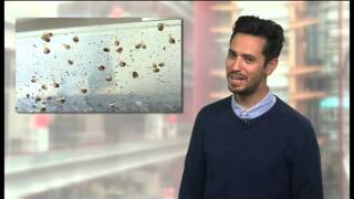 Bbc Learning English Video Words In The News Snail Farming 10Th September 2014