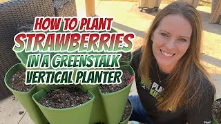 Planting Strawberries in a Greenstalk Vertical Planter (Beginner's Guide)