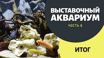 Выставочный аквариум 4. Итоговый вид цихлидника