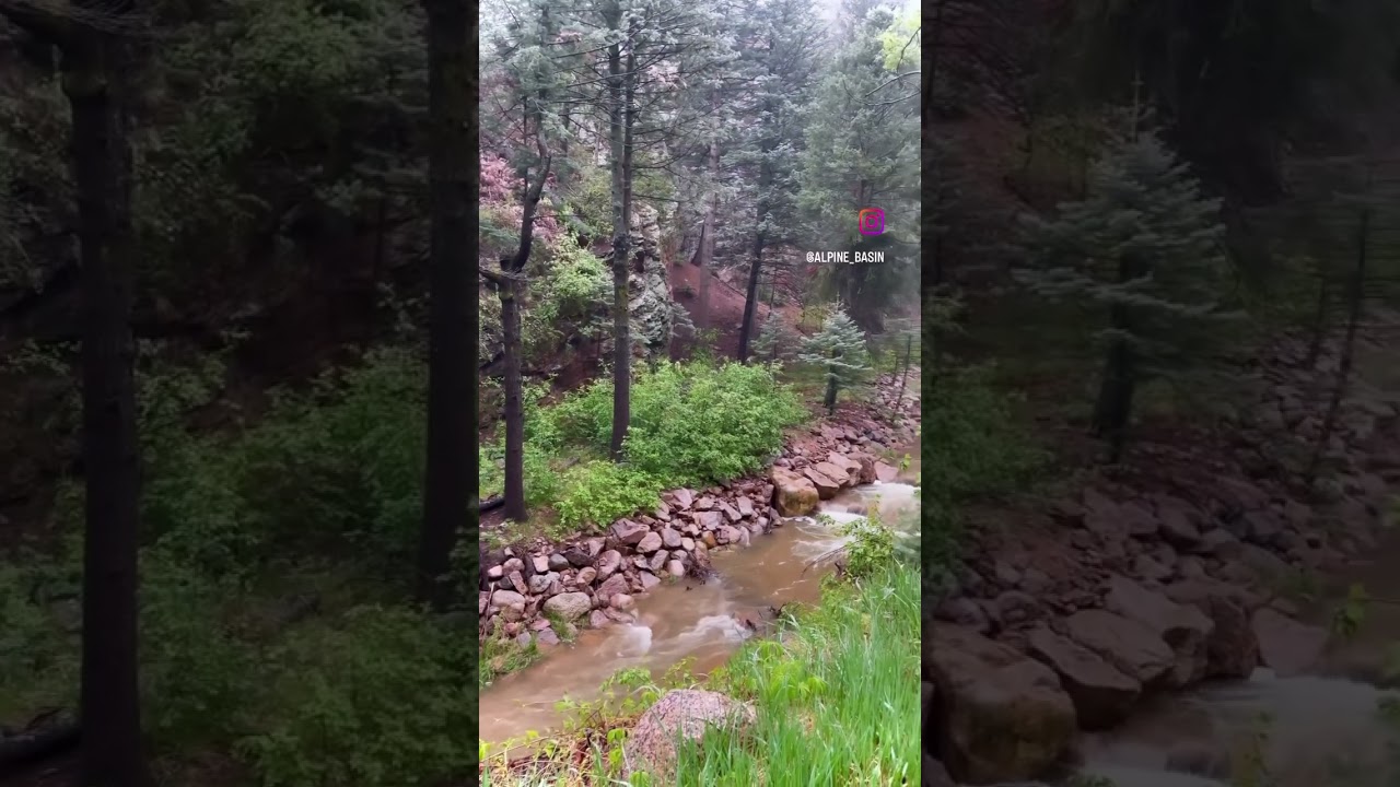 Roadside creek views 