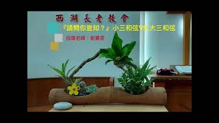 台語新聖詩124首『請問你豈知？』原譜之小三和弦II,III,VI級改變爲 I,IV,V級大三和弦的比較。指導老師：劉憲雯