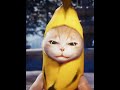 Banana cat is happyhappyhappy