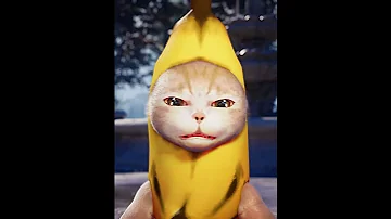 Banana Cat is HappyHappyHappy