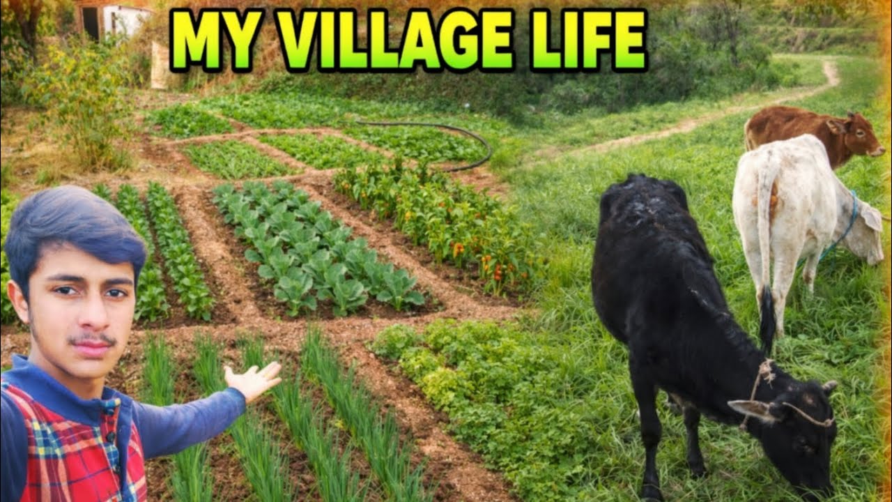 My village life # full Lifestyle 😉 Vlog# share and subscribe please 