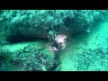 Подводная охота в Черном море, История одного дня