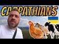 THE MAJESTIC CARPATHIAN MOUNTAINS! 🇺🇦 TRYING OUT DELICIOUS LOCAL FOOD! VISITING AN ECO FARM!
