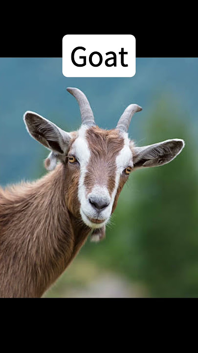 Download lagu Wait for the end MJ #michaeljackson #mj