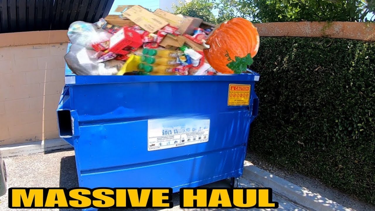 MASSIVE DUMPSTER DIVE FIND   WHAT I SCORED WILL BLOW YOUR MIND!! MUST WATCH
