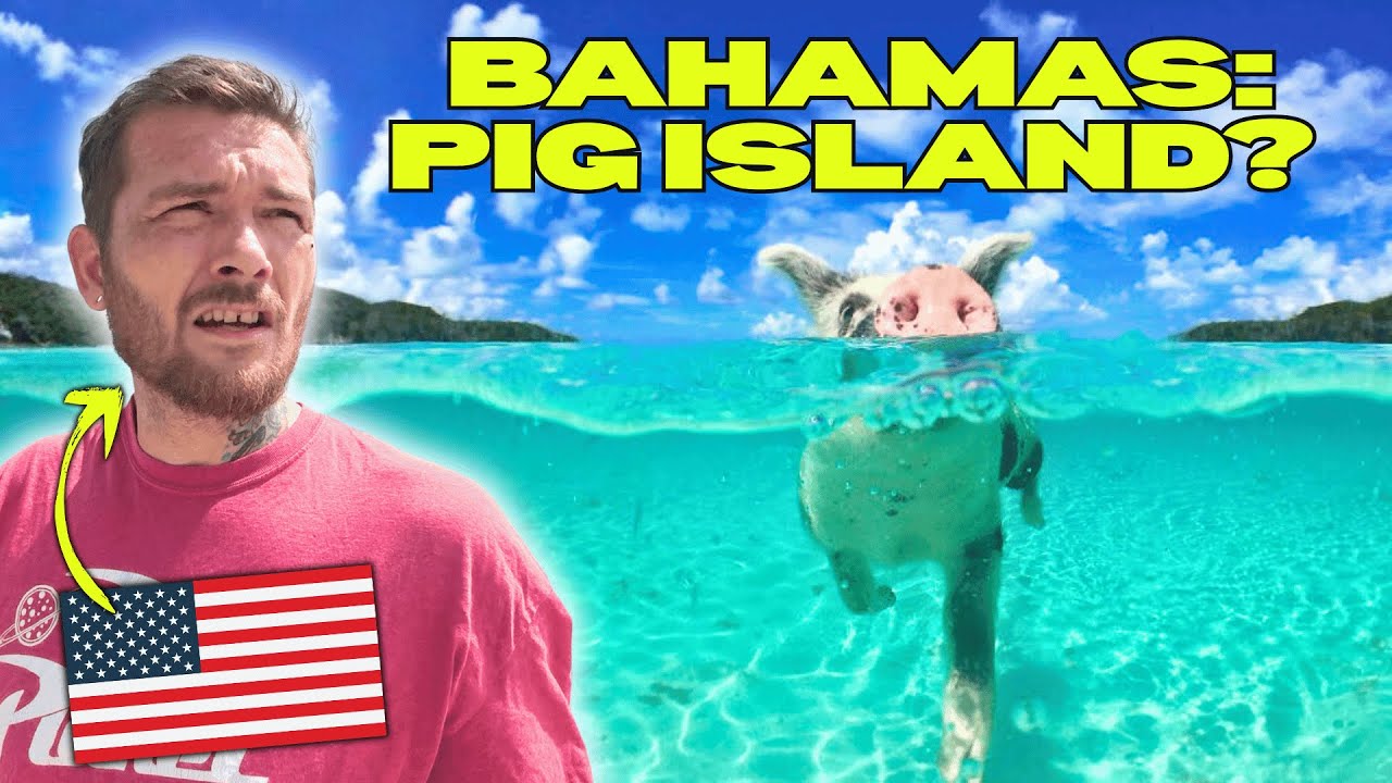 Реакция американцев на Багамы и плавающих свиней на острове Биг-Мейджор-Кей! Я не поверил, пока н...