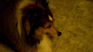 DSCN0048.AVI
