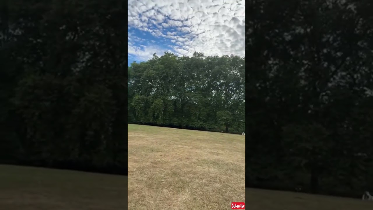 Beautiful park in London