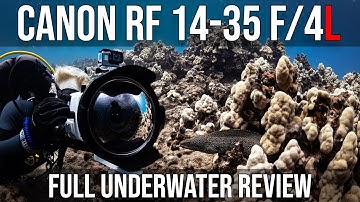 The Canon RF 14-35 f/4L is FANTASTIC underwater | Photography
