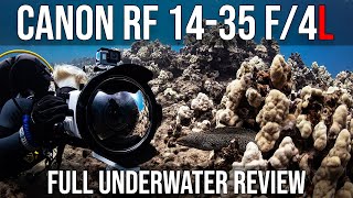 The Canon RF 14-35 f/4L is FANTASTIC underwater | Photography