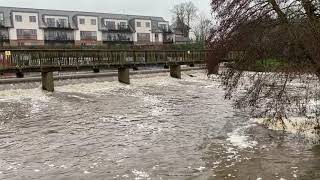 The River Lea in flood at Hertford Basin weir, January 2021