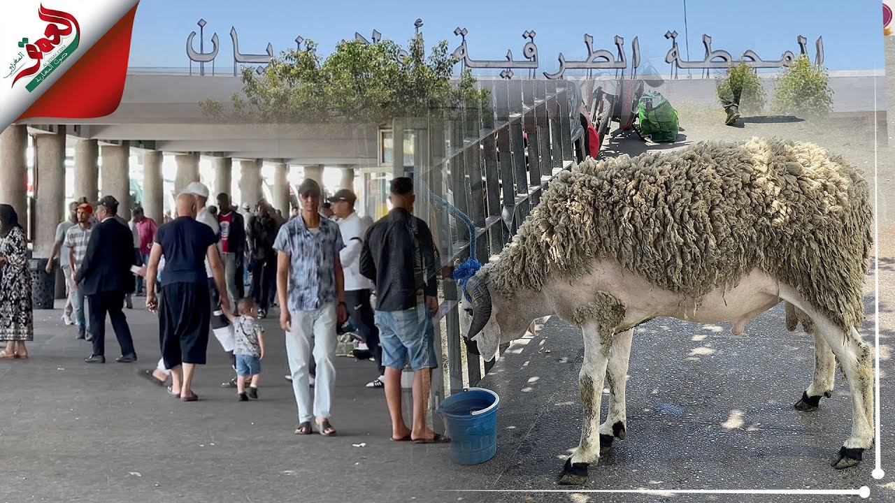 مع اقتراب العيد.. الركود يضرب محطة ولاد زيان ومهنيون:  الزيادة في اسعار التذاكر "عادية"