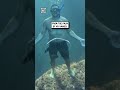 Bubble ring blowing 🤿🫧😲                             🎥: Victordevalles via ViralHog