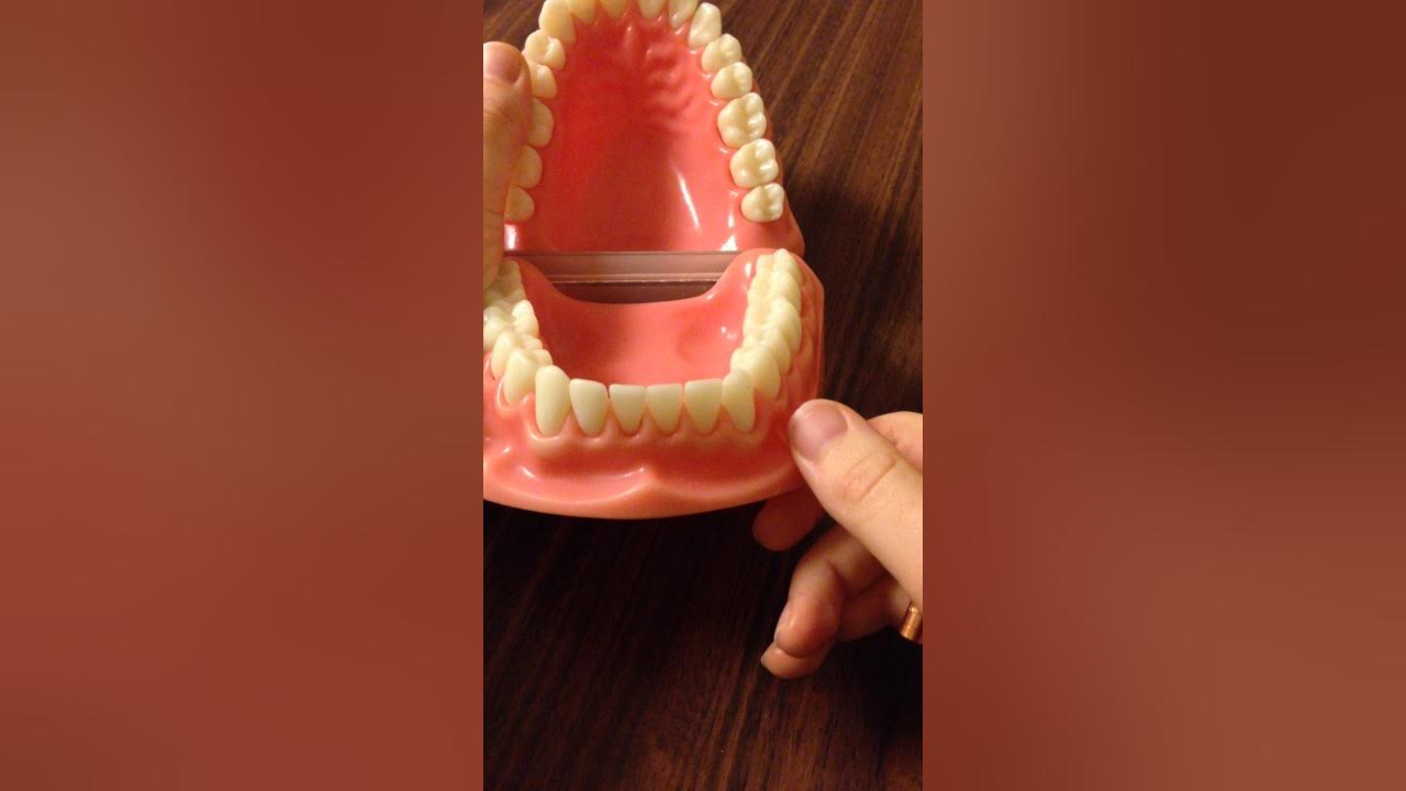 Rubber tip stimulator technique YouTube