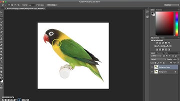 Polygonal Portrait Photoshop CC