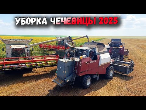 LENTIL HARVEST 2025. HARVEST YOURS AND HELP A NEIGHBOR