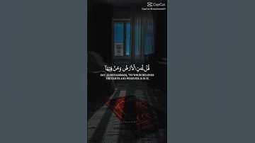 ياسر الدوسري #قرآن #اكسبلور #تلاوة_خاشعة #لايك #قران_كريم #راحة_نفسية #ياسر_الدوسري