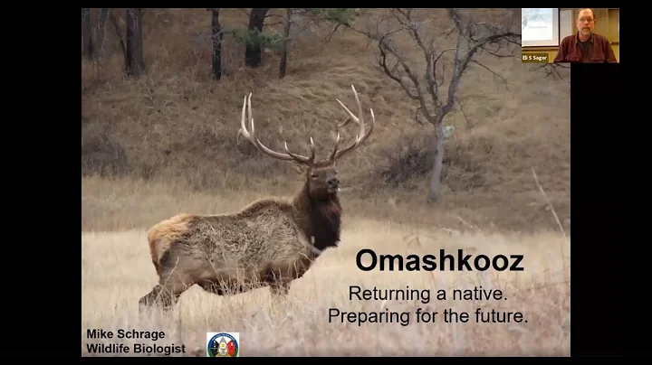 Schrage: Omashkooz - Status of elk restoration in northeast Minnesota