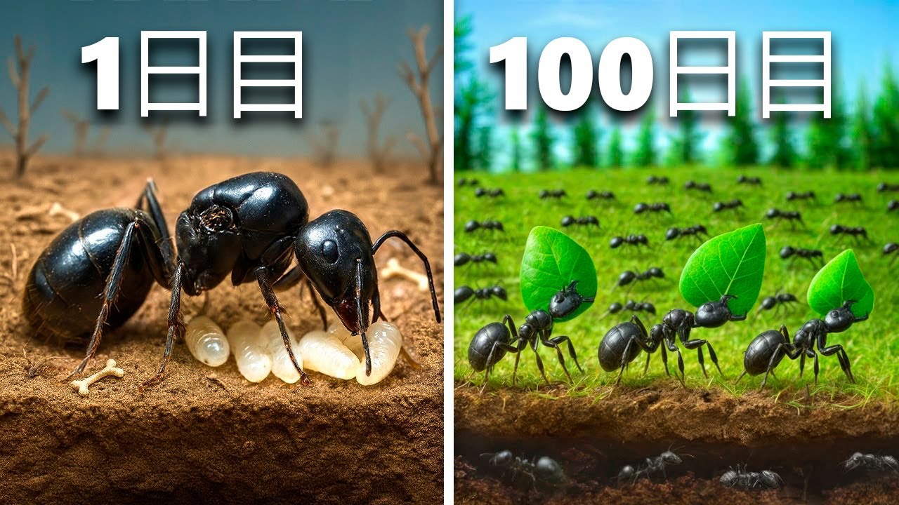 アリのコロニーを100日間シミュレーションしてみた